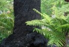 Blackwarrysustainable-landscaping-15.jpg; ?>